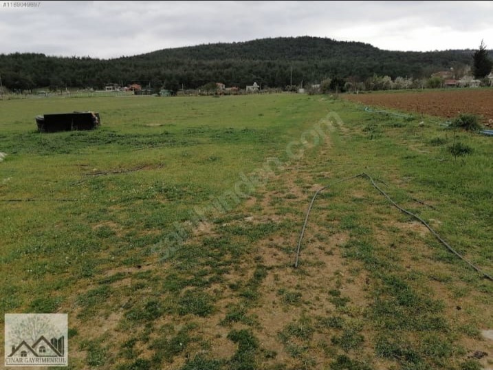 Çınar Gayrimenkul